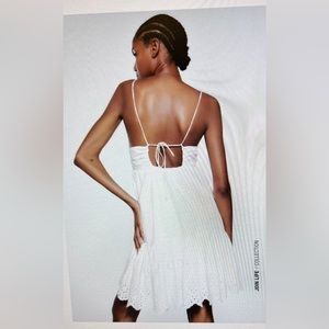 Zara Openwork Embroidered Dress